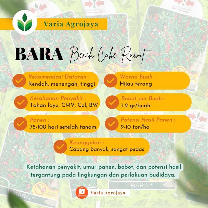 BENIH BIBIT CABE RAWIT BARA - CAP PANAH MERAH