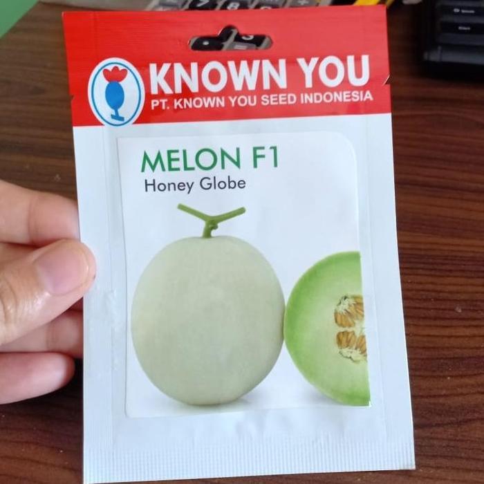 KYS - benih MELON HONEY GLOBE isi 4 biji - benih melon hibrida - known