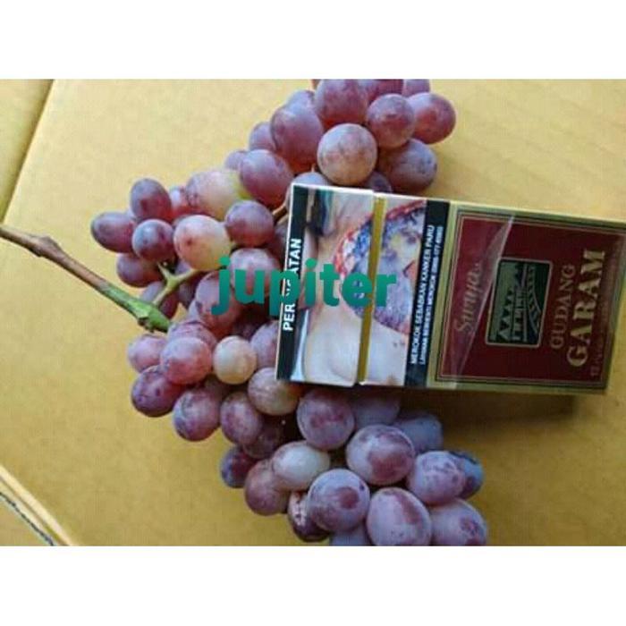 bibit anggur Jupiter (seedless) tanpa biji