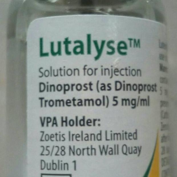 LUTALYSE HORMON PENYERENTAKKAN BIRAHI PADA SAPI, BABI, KAMBING DAN KUDA
