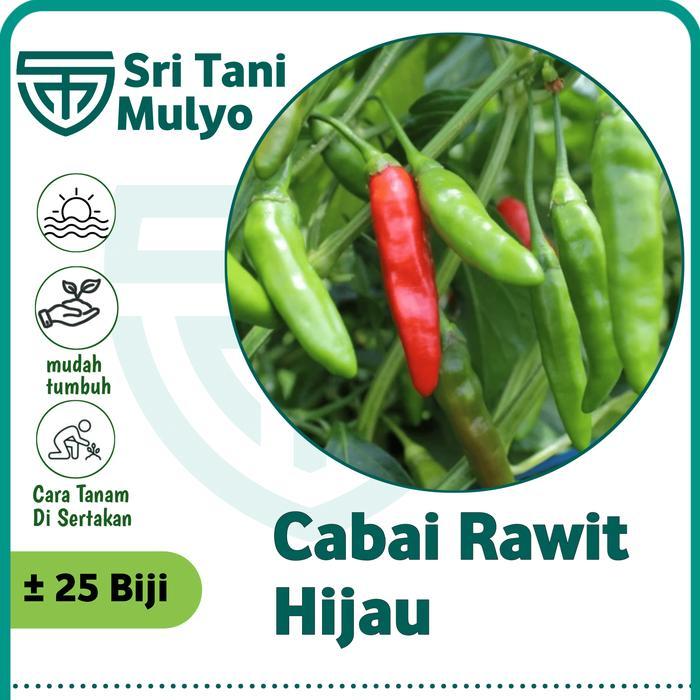 25Biji - Benih Cabai Rawit BANGKOK IJO - Bibit Cabe Hijau -Bibit Sayuran Benih Sayuran Repack