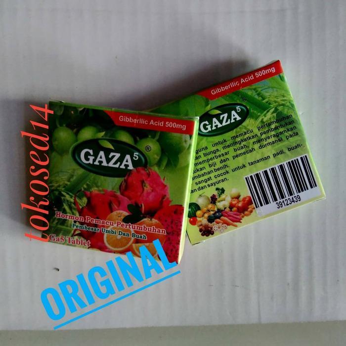 Terangbenderangshop Gaza Zpt Pembesar Buah Hormon Buah Naga Melon Umbi Ga5 Ga 5 Giberlin
