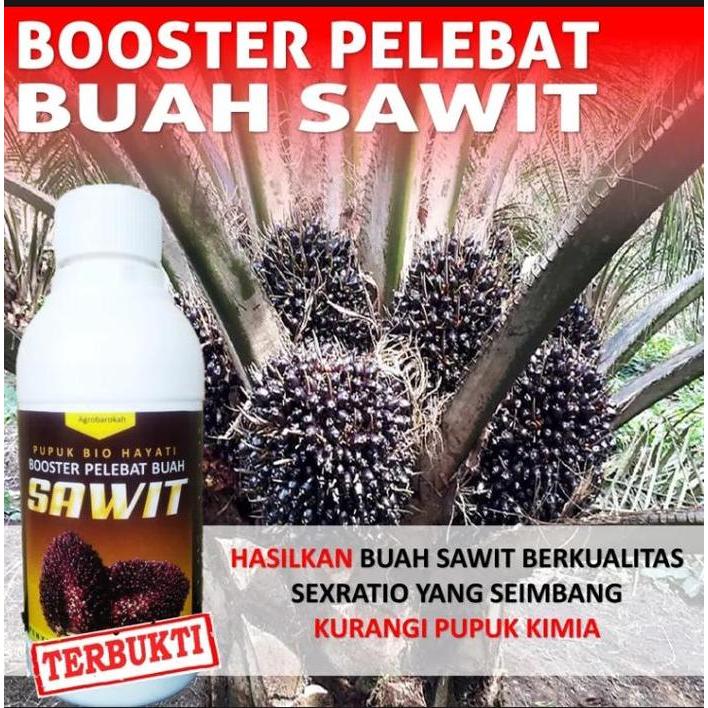 Terangbenderangshop Pupuk Kelapa Sawit Yang Bagus Untuk Buah Supaya Berat Lebat 250Ml
