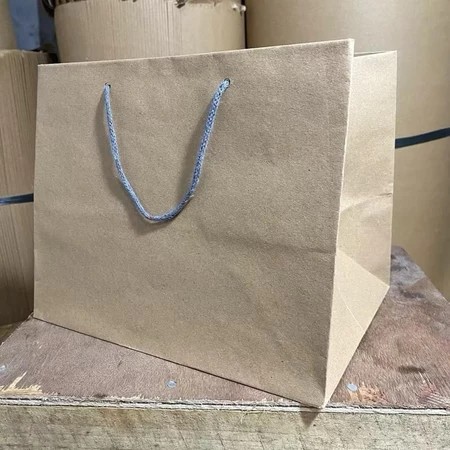 Paper Bag 25x22x26 Cm (PAKET 12 PCS) / Tas Kertas / Tas Kado / Tas Souvenir / Tas Tumbler