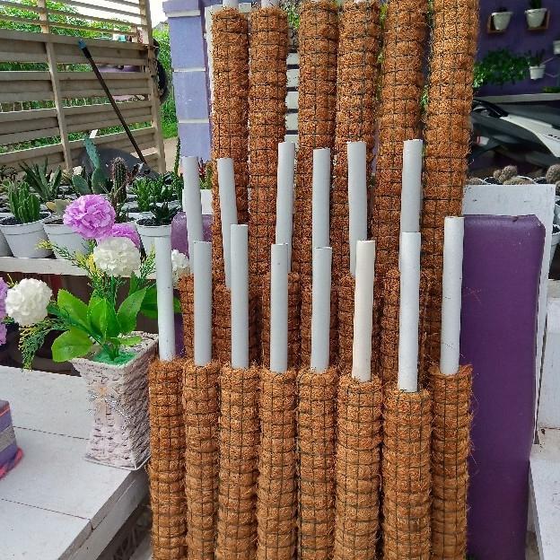 Turus kawat, Turus Penyangga, penyangga tanaman rambat 30cm - 100cm
