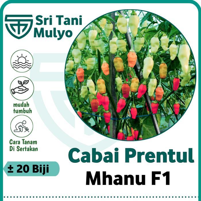20 Biji - Benih Cabai Rawit PRENTUL MHANU F1