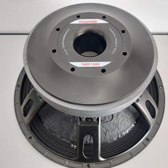 speaker wisdom 18 df 1500