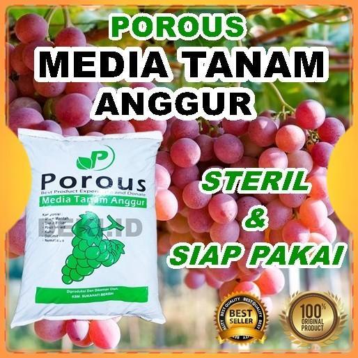 Media Tanam Anggur Porous Tanah Organik Steril Siap Pakai