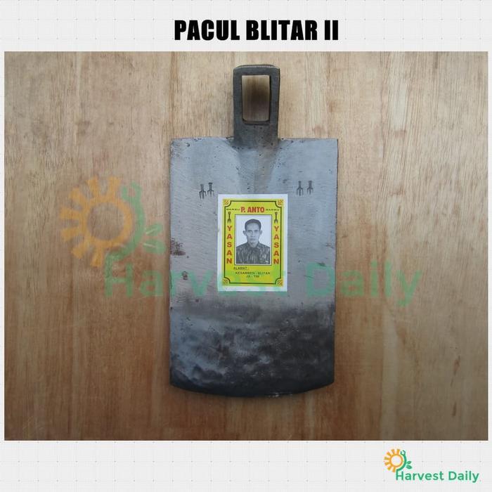 CANGKUL / PACUL BLITAR II