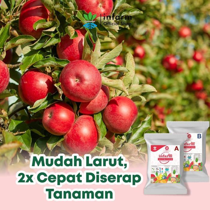 INFARM - Nutrisi Tanaman AB Mix Strawberry 1000 Liter Hidroponik Tanah, AB Mix Cair Nutrisi
