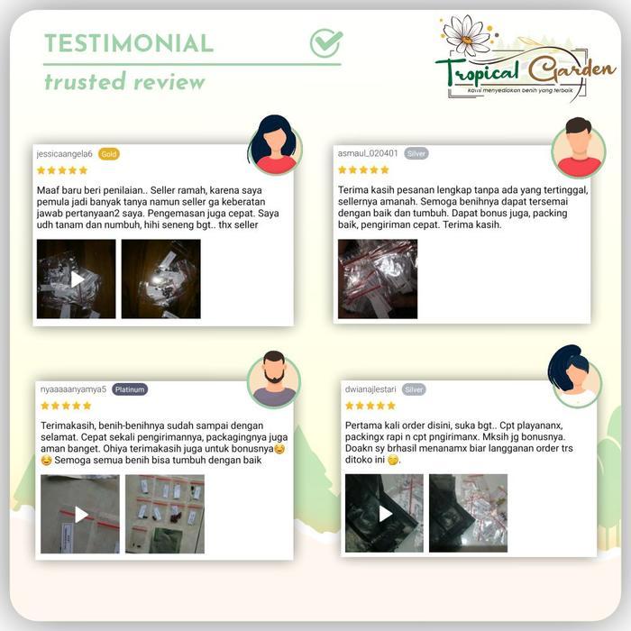 25 Macam Benih Paket Sayuran Hybrida F1 Bibit Sayuran Lengkap Isi Banyak Free Polybag