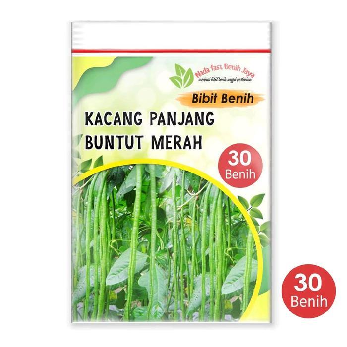 30 Biji benih kacang panjang buntut merah - Bibit kacang panjang super tanaman sayur