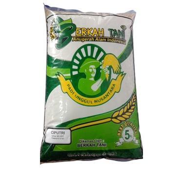 Benih Padi Unggul Ciputri / Bibit Padi Ciputri Berkualitas Kemasan 5kg