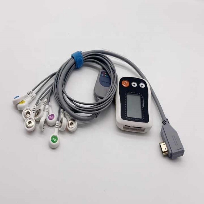 10 Leads ECG/EKG Holter Cable Compatible for Borsam/Vales & Hills CV200/Zoncare/Nalong/MedEx
