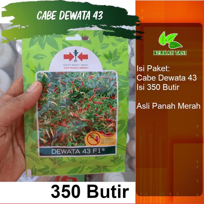 Benih Cabe Rawit Dewata 350 Butir