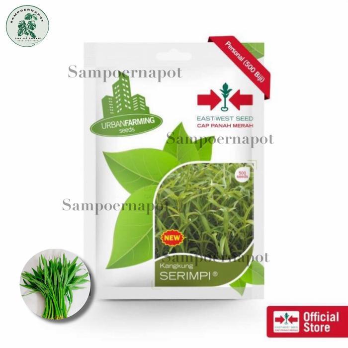 Benih Bibit Kangkung Serimpi Cap Panah Merah - Kangkung Serimpi