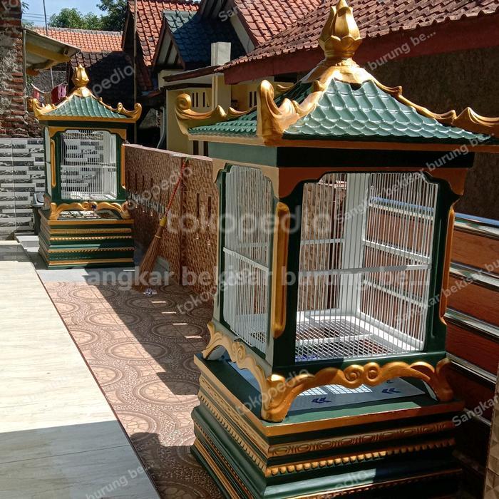 sangkar burung beo ayam bekisar
