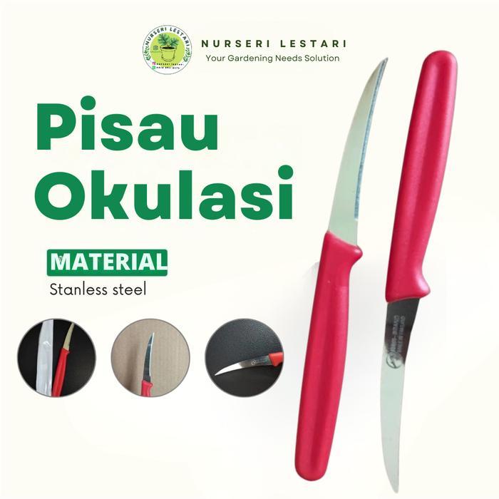 PISAU TANAMAN GRAFTING OKULASI ALAT POTONG DAHAN BAHAN STAINLESS STEEL