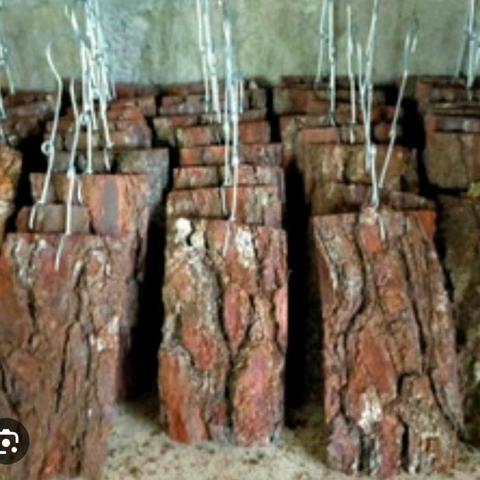 Terangbenderangshop Papan Kayu Pinus Vertikal Media Tanaman Anggrek Media Tempel Gantung