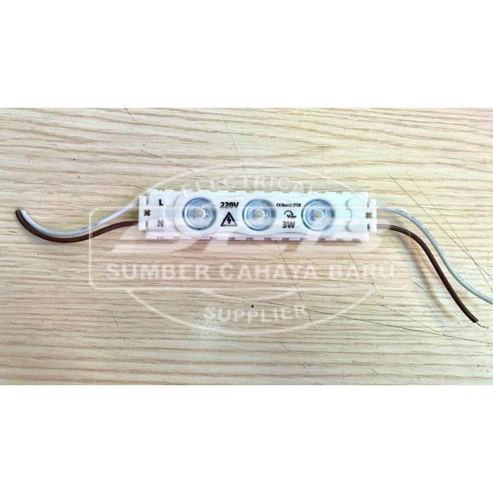 Led Modul 3 Mata 3 Watt 220 V Ac
