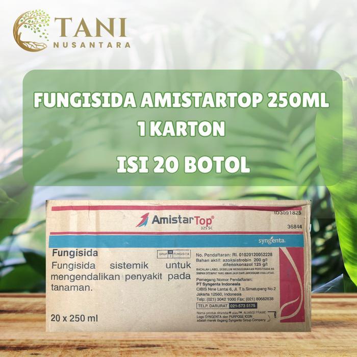 ` 1 Karton Fungisida Amistartop 325SC kemasan 250ml Isi 20 Botol sistemik untuk cabe