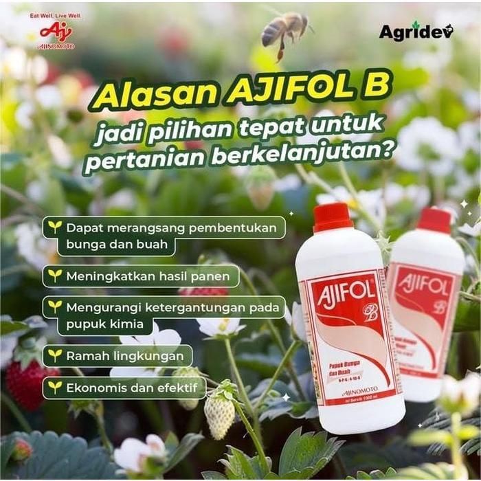 Terangbenderangshop Ajifol Pupuk Buah Dan Bunga Dan Daun 1 Liter Ajifol Pupuk Daun Bunga Dan Buah