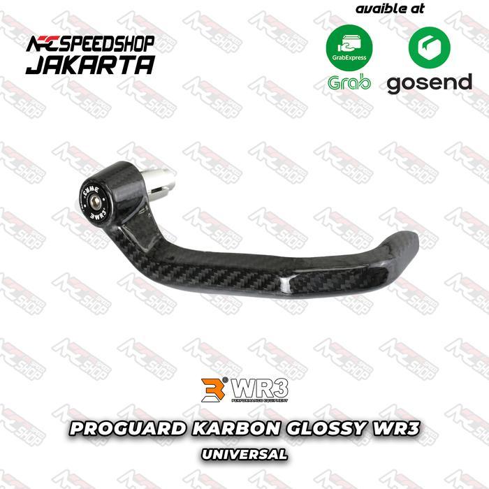 Ready Proguard or Handguard WR3 Carbon GP2 Kanan Only Universal Glossy
