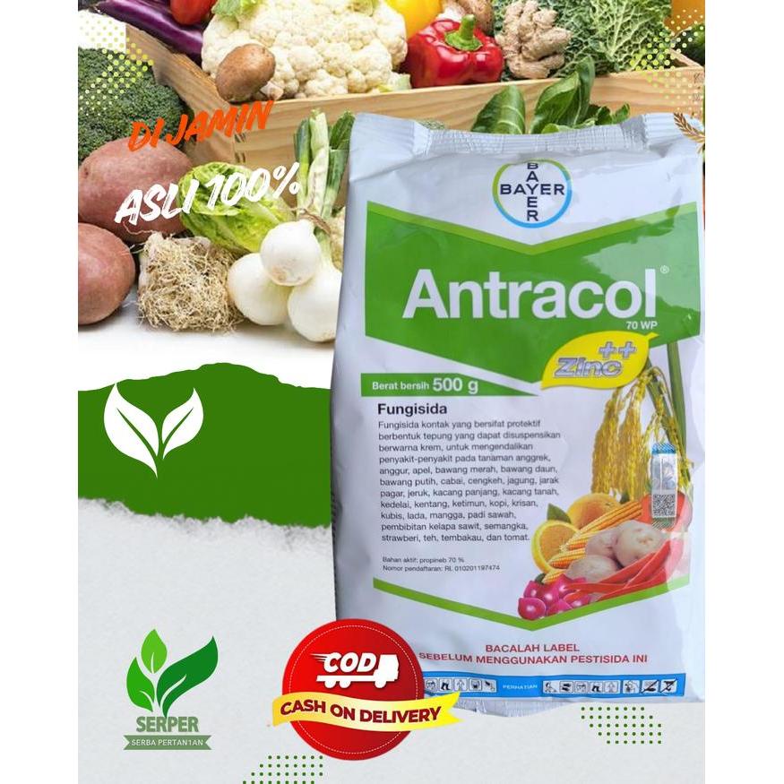 mataharitaman99 Pembasmi jamur Antracol 500gr - antracol 500gr