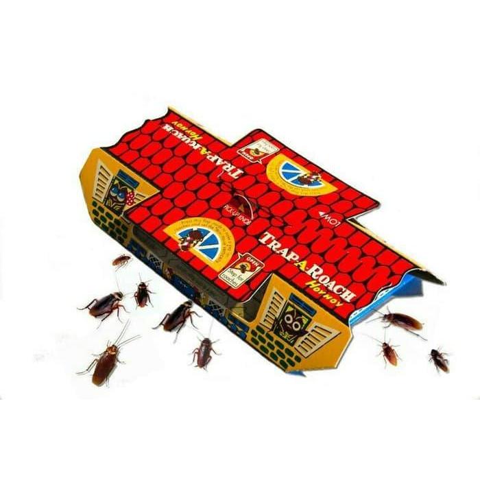 Rumah kecoa Hoy Hoy (perangkap kecoa) perangkap kecoa kecoak
