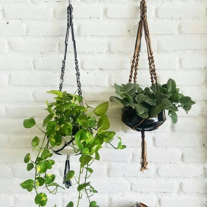 pot keramik - pot tanaman gantung - pot tanaman