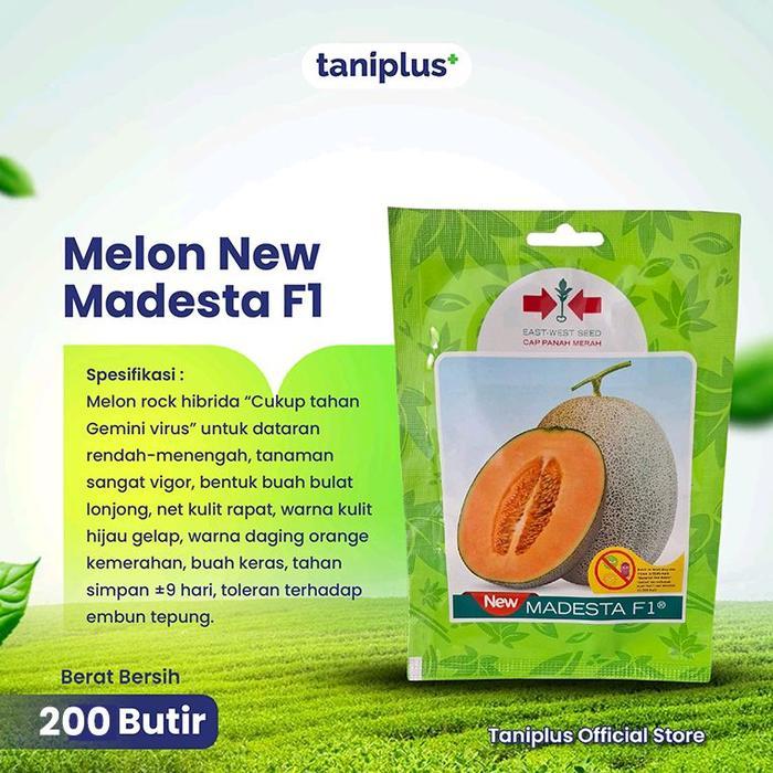Melon New Madesta 200 Butir - Benih Hortikultura