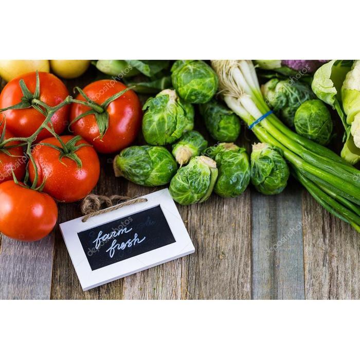 Bibit Sayur sayuran 25 Macam Benih Paket Lengkap