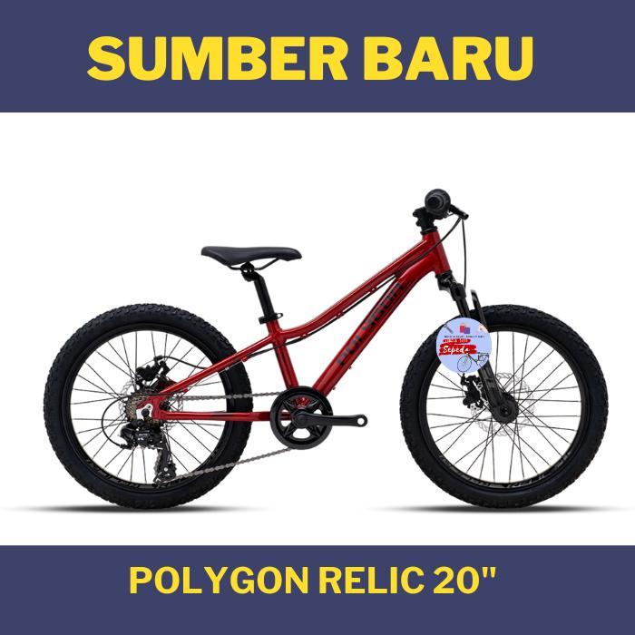 Sepeda MTB Polygon Relic Alloy 20 inch