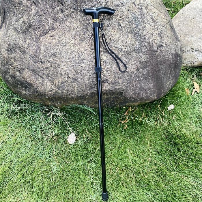 Eiger - Tongkat Pemandu / Tongkat Jalan / Tongkat Daki Gunung / Tongkat Hiking Trekking Pole /