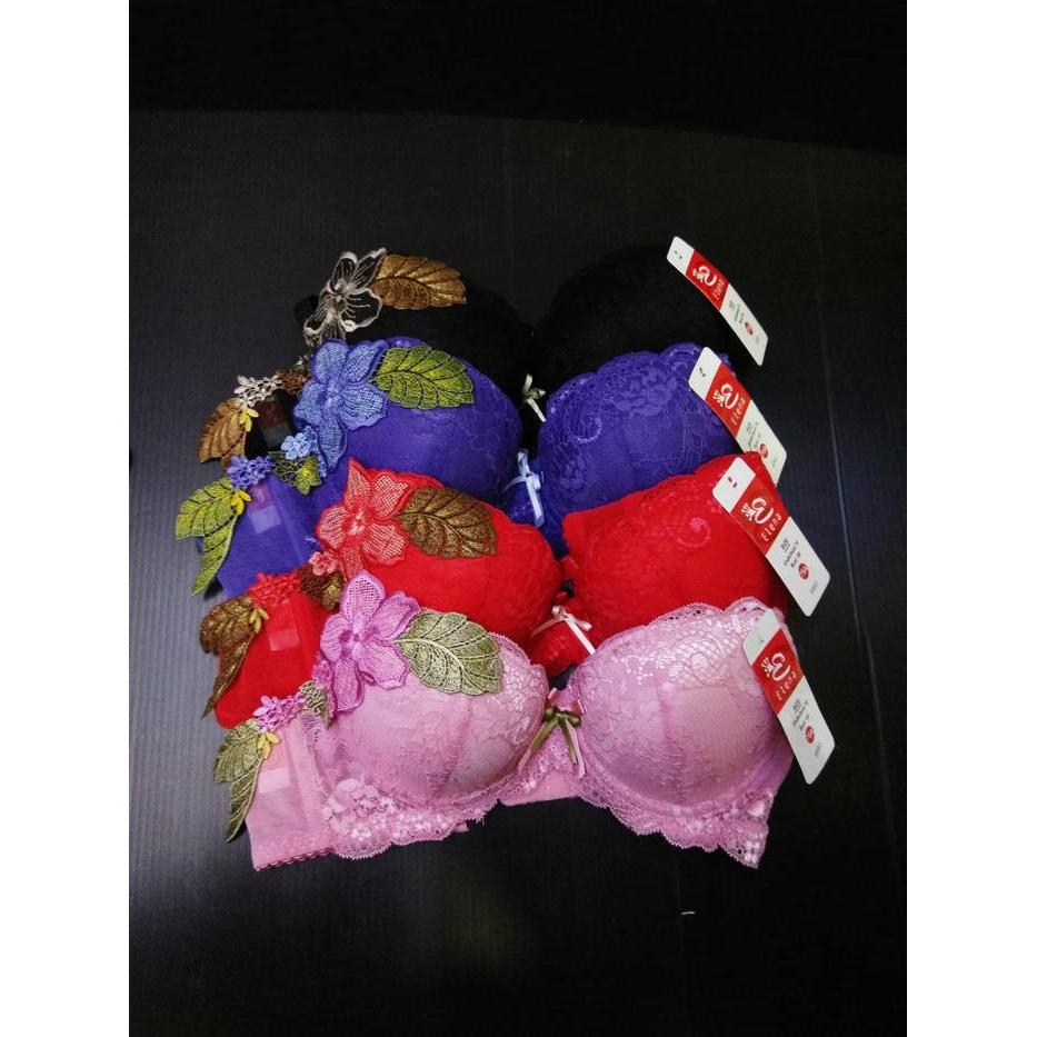 BH ELENA 8965 BUSA TEBAL PUSH UP KAIT 2 ISI 1