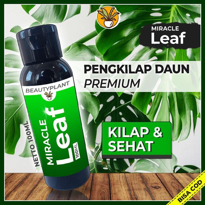 Pengkilap Daun Tanaman Hias Kilap Daun Organik Semir Daun Organik