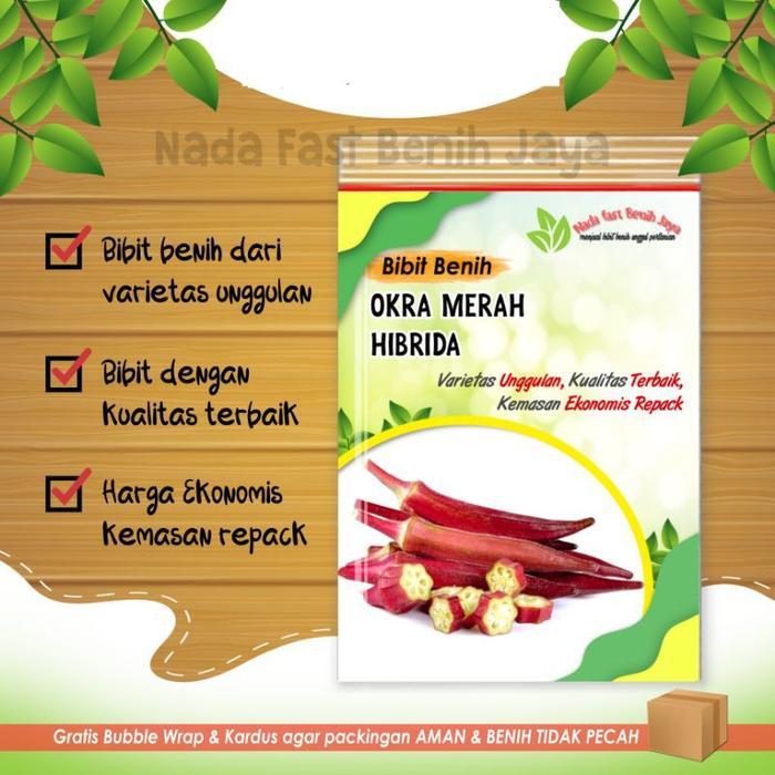 3 Biji benih okra merah unggulan - bibit okra merah