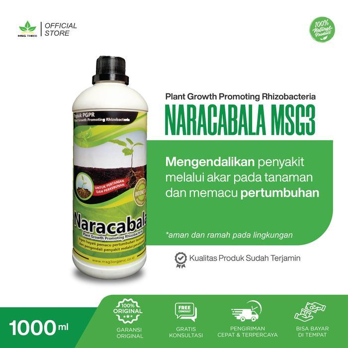 Terangbenderangshop Pupuk Organik Pgpr Narcabala Tanaman Organik Pupuk Cair Pupuk Organik Cair