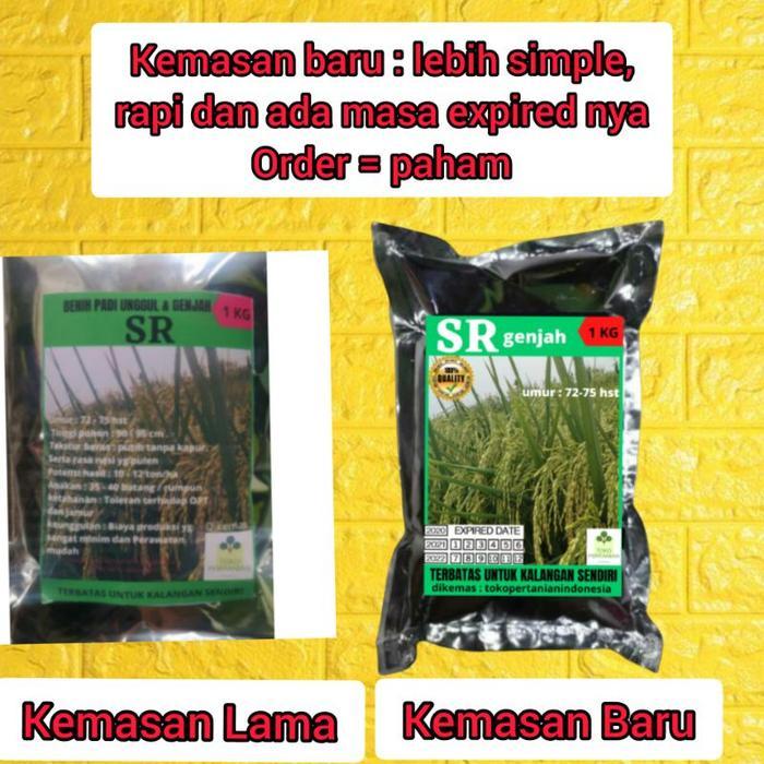 Benih padi SR 1KG BERKUALITAS & SUPER GENJAH..