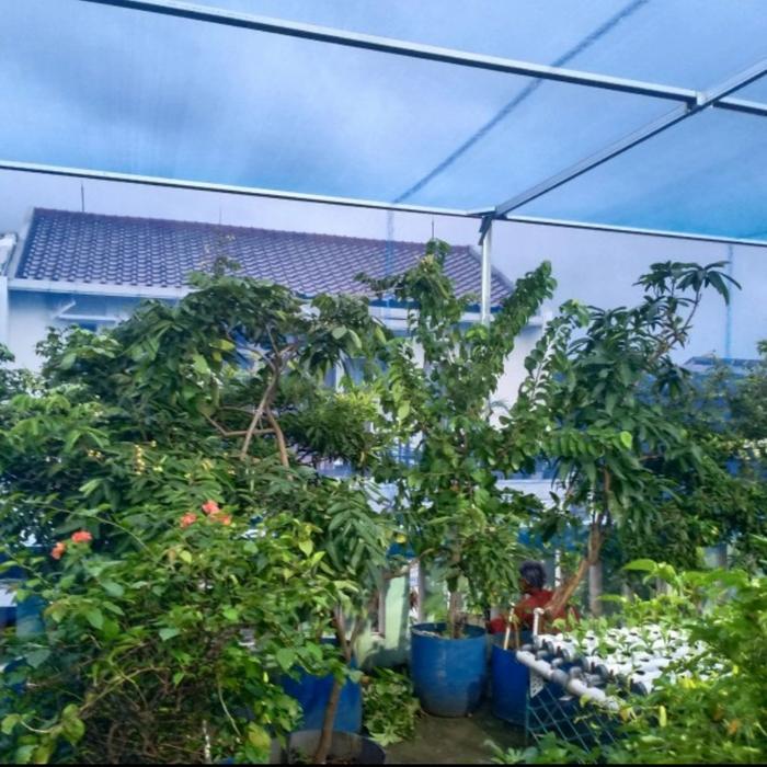 Jaring Proyek Polynet Bangunan Waring Biru P.100M X L.3M Pasti Ori