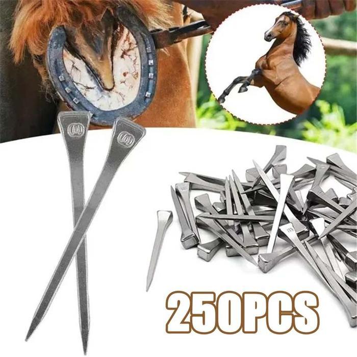 ` 250 Pcs E3 Paku Kuda Stainless Steel Paku Sepatu Tapal Kuda Pacu Hingga Tunggang Paku Sepatu Kuda