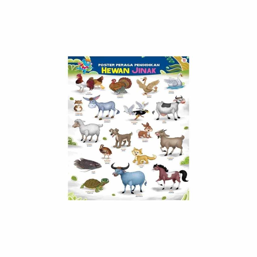 Buku CHILDRENS BOOKS - POSTER PERAGA PENDIDIKAN HEWAN JINAK (BAHAN KARTON) by TIM WUDI