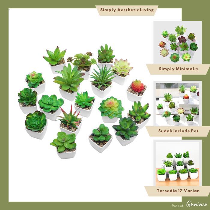 [DIAMOND] KAKTUS SUKULEN Tanaman Kaktus Palsu Imitasi Plastik Mini Artifiasan / Tanaman sukulen
