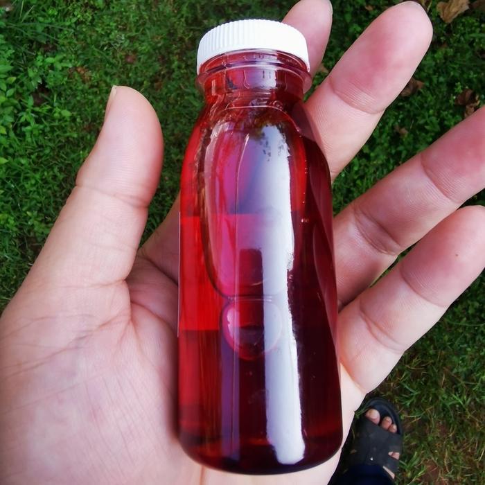 BISA COD Hormon Tanaman GA4+7 Giberelin 100ml Pembesar Buah dan Dorman Breaker