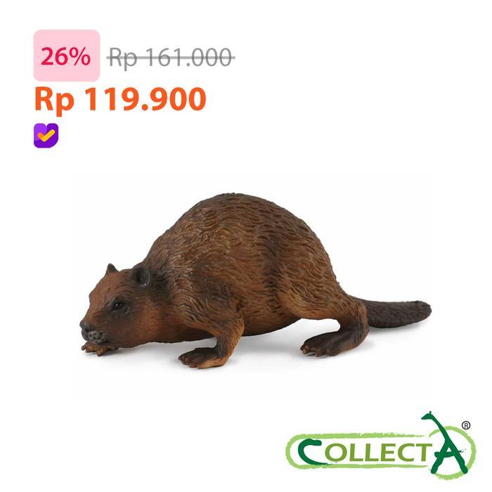 CollectA 88382 - Beaver - Animal Figure