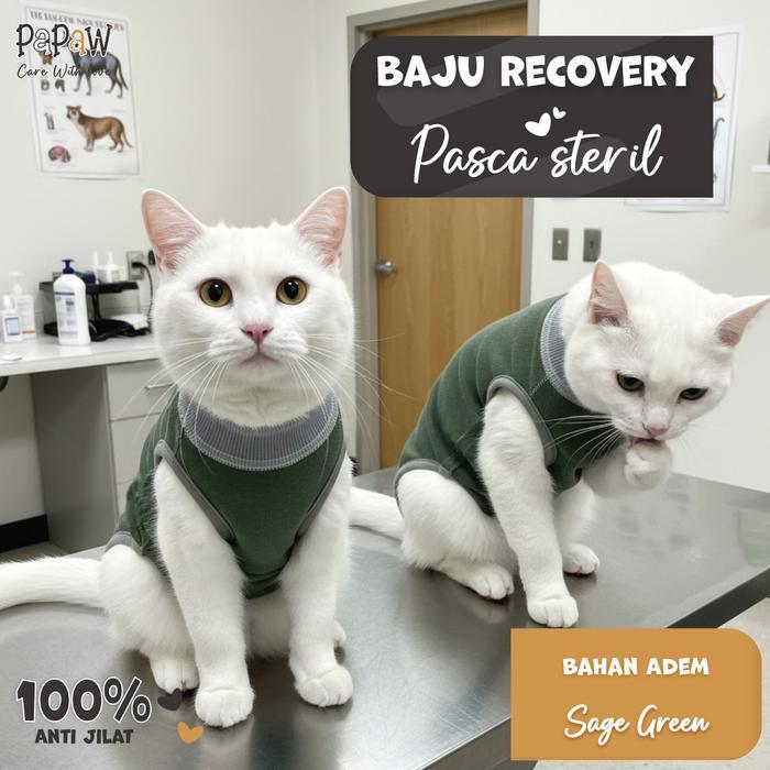 Baju Steril Kucing Anjing Betina Jantan Untuk Recovery Pasca Operasi