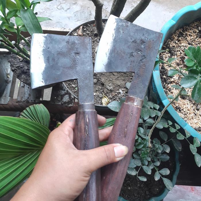 Terbaru Kampak Kelapa/Kupas Batok Kelapa (Baja Per Asli ) Kitchenware