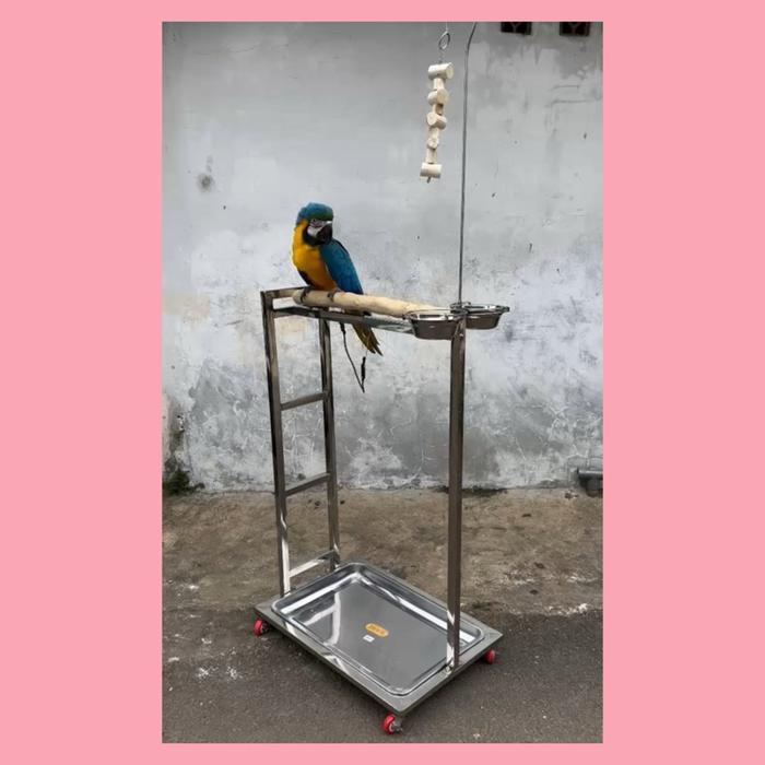 Tangkringan Kandang Burung Besar Stainless untuk Kakatua Macaw
