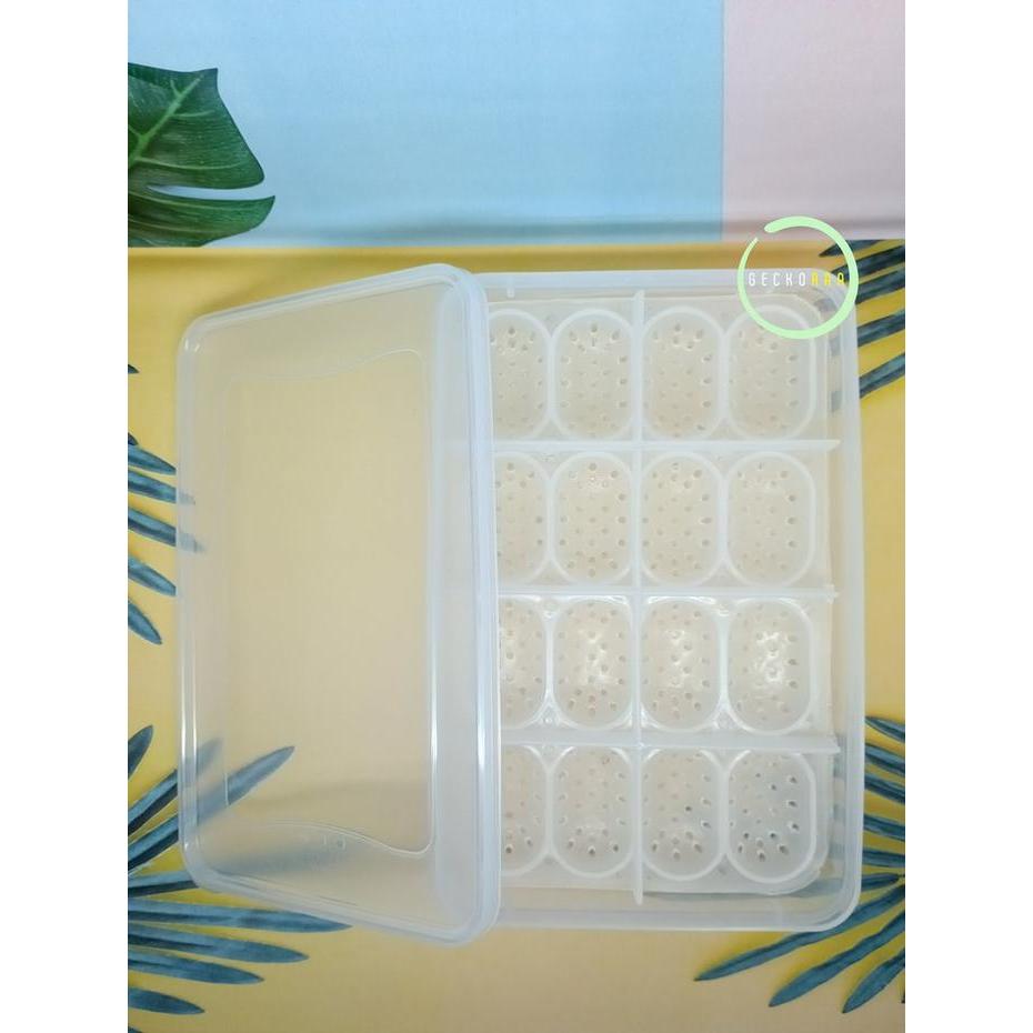 Promo Inkubator Telur Reptil Gecko 16 Slot