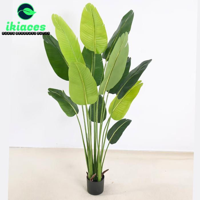 DAUN PISANG ARTIFISIAL JUMBO 2 METER POHON PISANG PLASTIK TANAMAN HIAS JUMBO POHON HIAS AESTHETIC